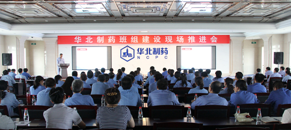 華北制藥召開班組建設現場推進會